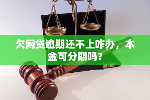 欠网贷逾期还不上咋办，本金可分期吗？