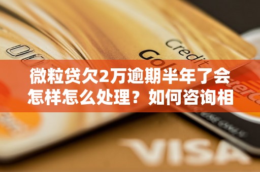 微粒贷欠2万逾期半年了会怎样怎么处理？如何咨询相关问题？