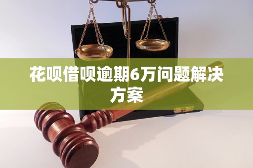 花呗借呗逾期6万问题解决方案