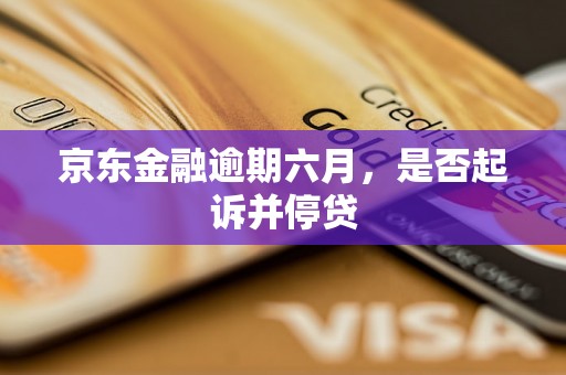 京东金融逾期六月，是否起诉并停贷