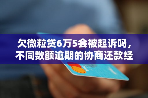 欠微粒贷6万5会被起诉吗，不同数额逾期的协商还款经验分享