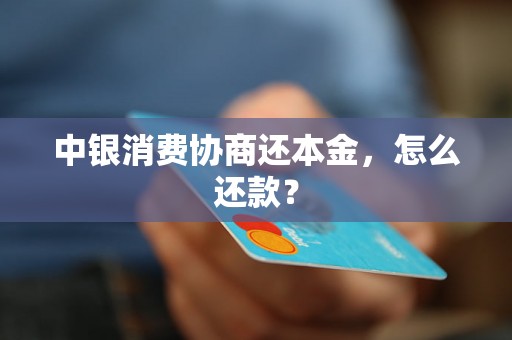 中银消费协商还本金，怎么还款？