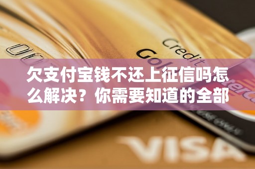 欠支付宝钱不还上征信吗怎么解决？你需要知道的全部解决方法