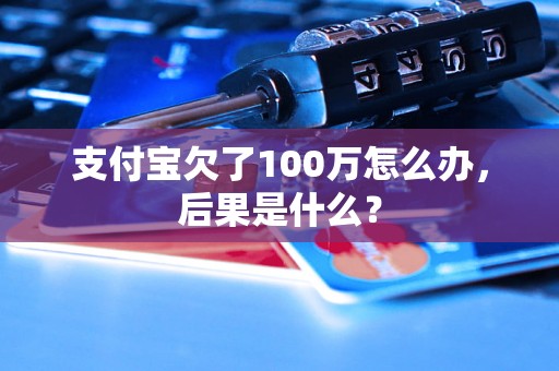 支付宝欠了100万怎么办，后果是什么？