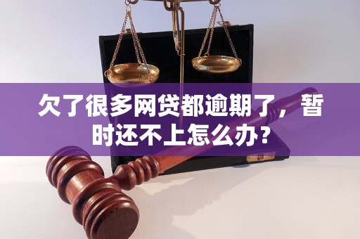 欠了很多网贷都逾期了，暂时还不上怎么办？