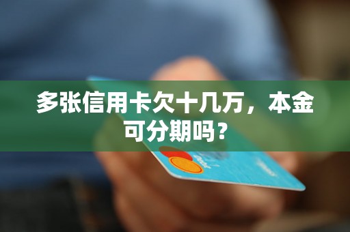 多张信用卡欠十几万，本金可分期吗？