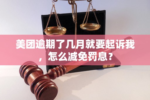 美团逾期了几月就要起诉我，怎么减免罚息？