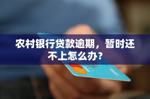 农村银行贷款逾期，暂时还不上怎么办？