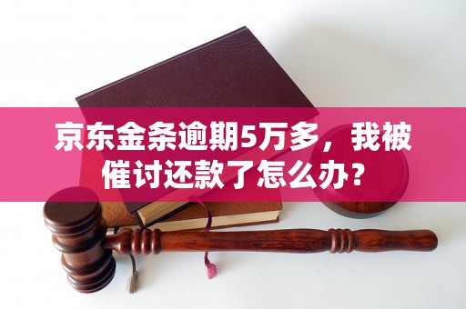 京东金条逾期5万多，我被催讨还款了怎么办？