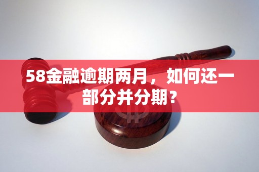 58金融逾期两月，如何还一部分并分期？