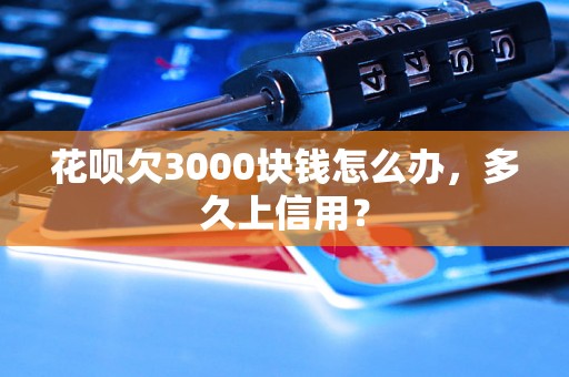 花呗欠3000块钱怎么办，多久上信用？