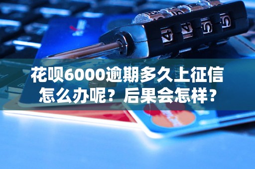 花呗6000逾期多久上征信怎么办呢？后果会怎样？