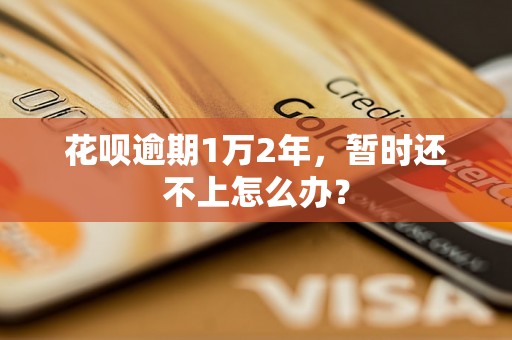 花呗逾期1万2年，暂时还不上怎么办？