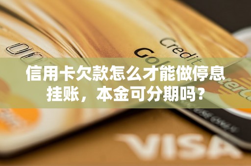 信用卡欠款怎么才能做停息挂账，本金可分期吗？