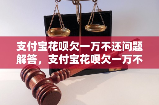 支付宝花呗欠一万不还问题解答，支付宝花呗欠一万不还如何处理