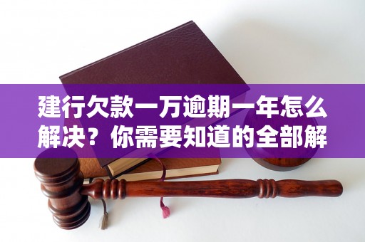 建行欠款一万逾期一年怎么解决？你需要知道的全部解决方法