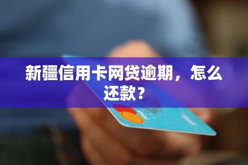 新疆信用卡网贷逾期，怎么还款？