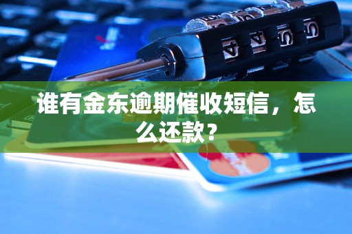 谁有金东逾期催收短信，怎么还款？