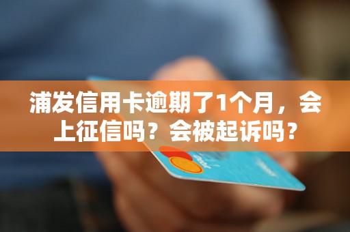 浦发信用卡逾期了1个月，会上征信吗？会被起诉吗？