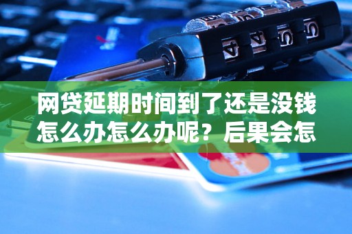 网贷延期时间到了还是没钱怎么办怎么办呢？后果会怎样？