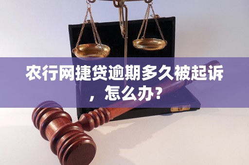 农行网捷贷逾期多久被起诉，怎么办？