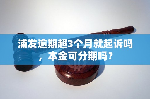 浦发逾期超3个月就起诉吗，本金可分期吗？