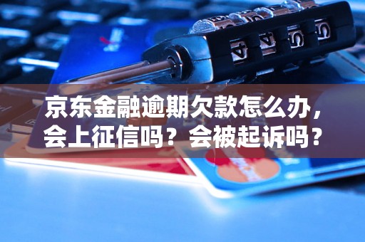 京东金融逾期欠款怎么办，会上征信吗？会被起诉吗？