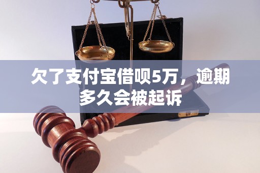 欠了支付宝借呗5万，逾期多久会被起诉