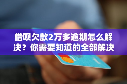 借呗欠款2万多逾期怎么解决？你需要知道的全部解决方法