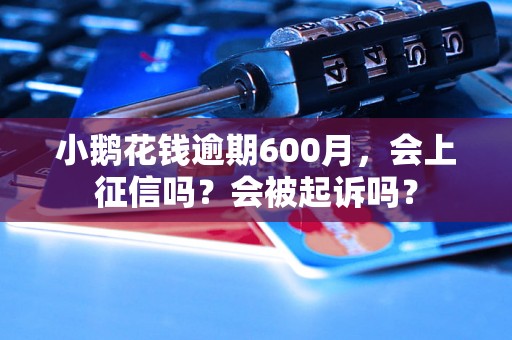 小鹅花钱逾期600月，会上征信吗？会被起诉吗？