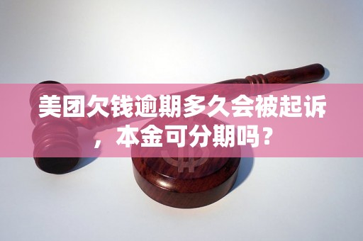 美团欠钱逾期多久会被起诉，本金可分期吗？