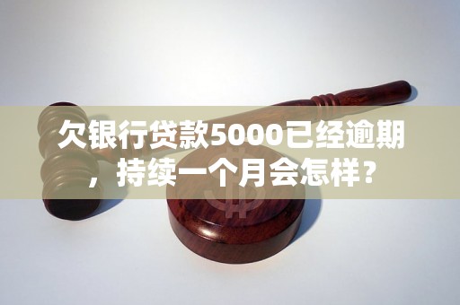 欠银行贷款5000已经逾期，持续一个月会怎样？