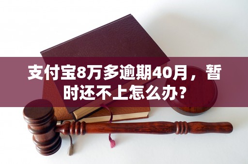 支付宝8万多逾期40月，暂时还不上怎么办？