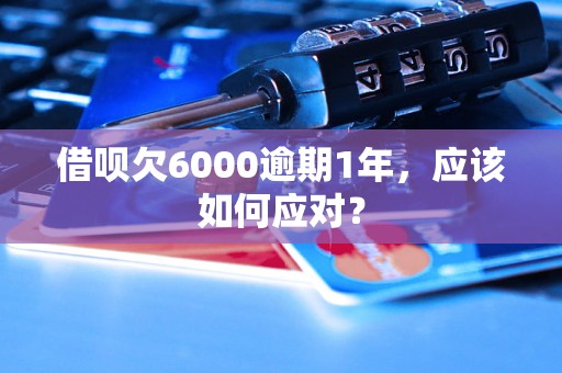 借呗欠6000逾期1年，应该如何应对？