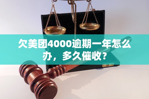 欠美团4000逾期一年怎么办，多久催收？