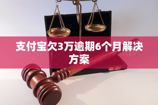 支付宝欠3万逾期6个月解决方案