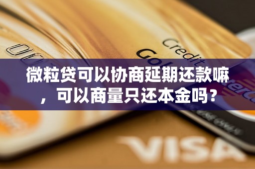 微粒贷可以协商延期还款嘛，可以商量只还本金吗？