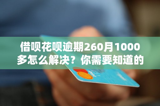 借呗花呗逾期260月1000多怎么解决？你需要知道的全部解决方法