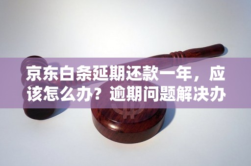 京东白条延期还款一年，应该怎么办？逾期问题解决办法