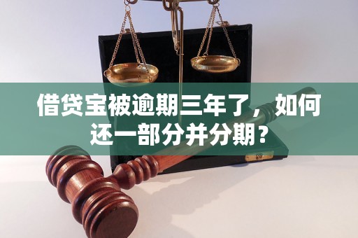 借贷宝被逾期三年了，如何还一部分并分期？