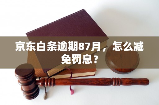 京东白条逾期87月，怎么减免罚息？