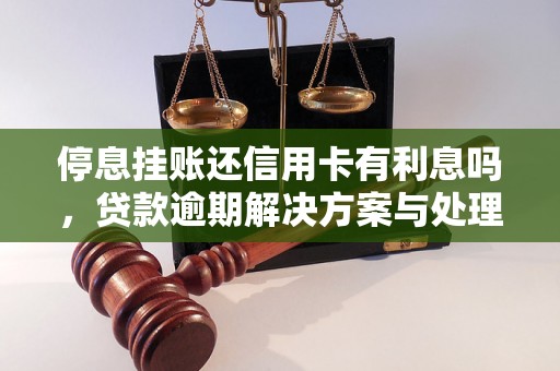 停息挂账还信用卡有利息吗，贷款逾期解决方案与处理策略