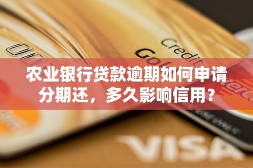 农业银行贷款逾期如何申请分期还，多久影响信用？