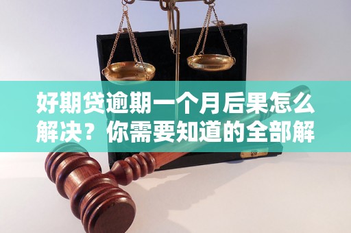 好期贷逾期一个月后果怎么解决？你需要知道的全部解决方法