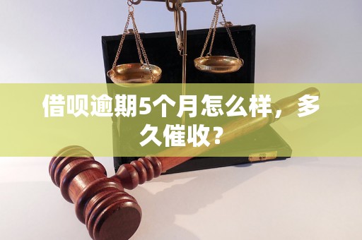 借呗逾期5个月怎么样，多久催收？