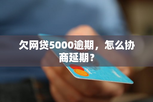 欠网贷5000逾期，怎么协商延期？