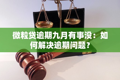 微粒贷逾期九月有事没：如何解决逾期问题？