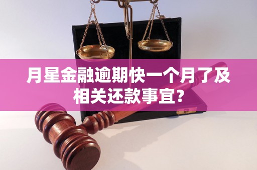 月星金融逾期快一个月了及相关还款事宜？