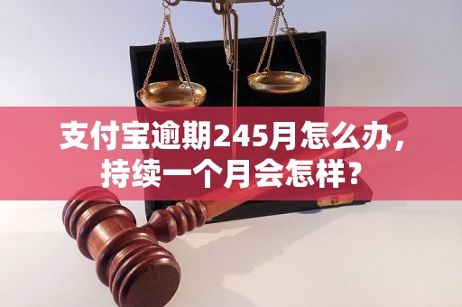 支付宝逾期245月怎么办，持续一个月会怎样？