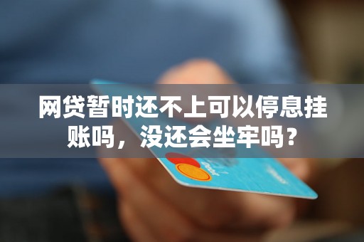 网贷暂时还不上可以停息挂账吗，没还会坐牢吗？